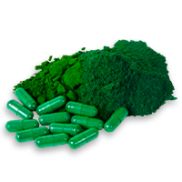 spirulina.png